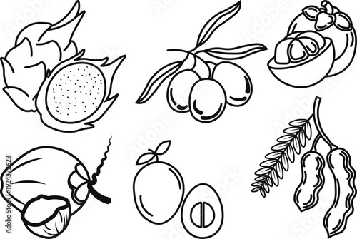 A botanical illustration displays various tropical fruits including dragon fruit mango tamarind and lychee in black and white high quality professional