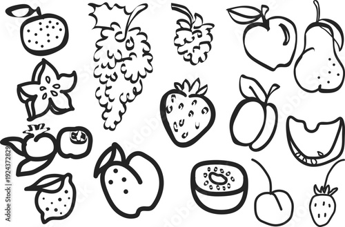A collection of hand drawn fruits and berries including apples grapes strawberries and citrus presented in black and white high quality
