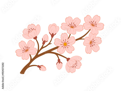 Sakura branch. Blooming cherry blossom branch with pink flowers and buds. Hand drawn trendy flat style. Ideal for spring greetings, floral decor, and Japanese themed designs. Vector illustration