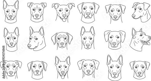 Diverse line drawings of cartoon dogs in various breeds and expressions isolated on transparent background, Vector