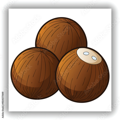 Three mature coconuts are the main subjects, arranged in a visually appealing cluster. They are positioned against a transparent background. The coconuts are roughly spherical, with a deep brown, fibr