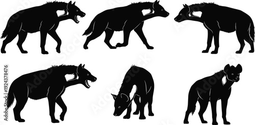 Black silhouette hyenas in various poses, walking, standing, snarling, sniffing ground, detailed animal illustration artwork symbolizing wildlife behavior, anatomy, strength, and natural instinct