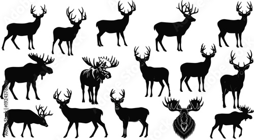 Large collection of deer moose and elk silhouettes with antlers including buck stags and forest wildlife animals isolated on white background for graphic design