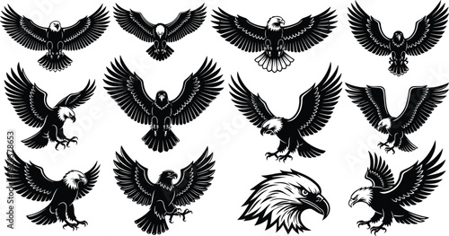 Large collection of flying eagle silhouettes and bald eagle head illustrations including soaring birds of prey isolated on white background for graphic design