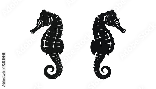 A pair of black seahorses on a white background illustration of two marine animals