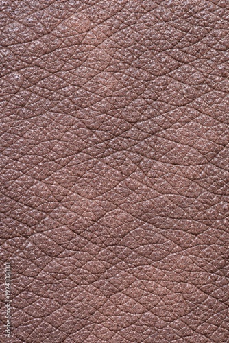 Hippopotamus Skin Texture Seamless Pattern. Close-up hippo hide detail. Wild animal skin surface design. Realistic hippopotamus texture . Detailed safari wildlife macro close-up. Mammal texture.