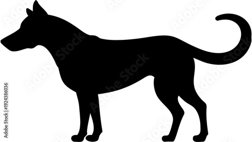 Black silhouette of a standing dog 