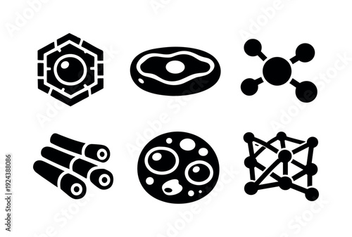 Solid style icons of silicon-based cellular architecture: silicate cell wall, flexible polysiloxane membrane, internal matrix