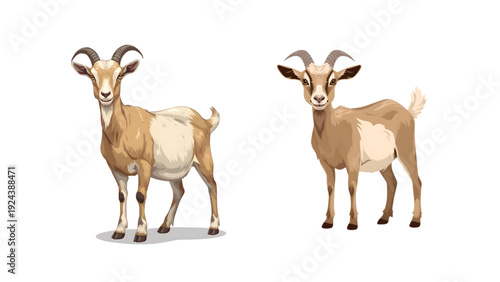 full body goat vector
