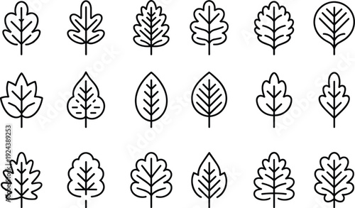 Botanical leaf outline icon collection minimal foliage line vector set for eco branding packaging web design illustration