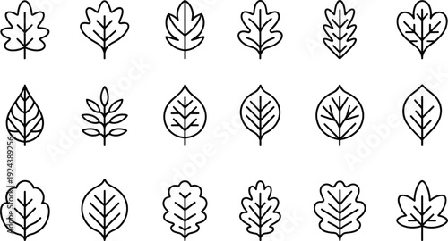 Botanical leaf outline icon collection modern foliage line vector pack for eco branding packaging web design illustration projects