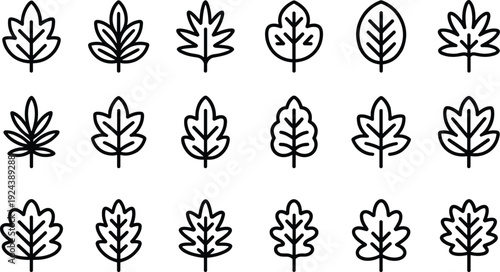 Botanical leaf outline icon set minimal foliage silhouette vector collection for eco branding packaging web design illustration