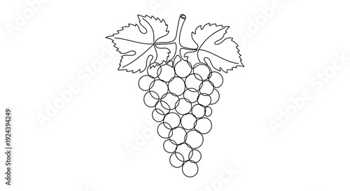 Bunch of Grapes with Leaves Isolated on White Background Line Art
