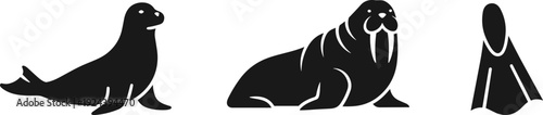 Set of three stylized black icons depicting a seal, a walrus, and a flipper