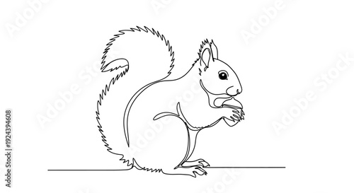 Squirrel Eating Nut Continuous Line Art Illustration