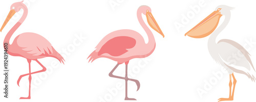 Three stylized birds, two pink flamingos and one white pelican, stand on one leg
