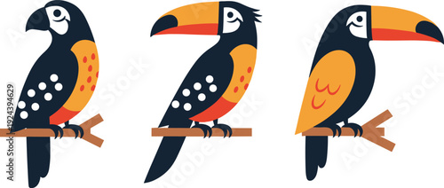 Three colorful tropical birds perched on branches, illustrated in a flat design style