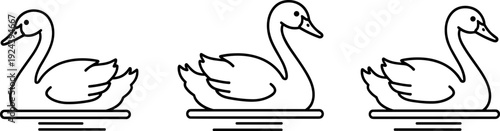 Three minimalist line art swans floating gracefully on calm water, vector illustration