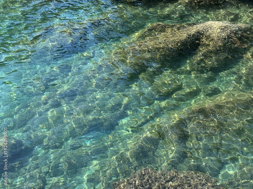Fototapeta premium Sea crystal clear water surface with algae.