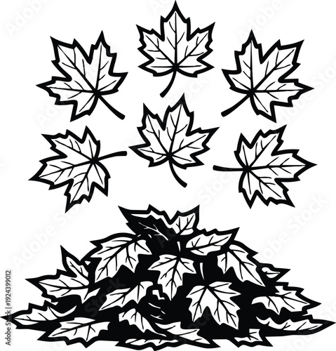 Vector line art maple leaves falling into a pile close up top view black outline isolated white background detailed contour