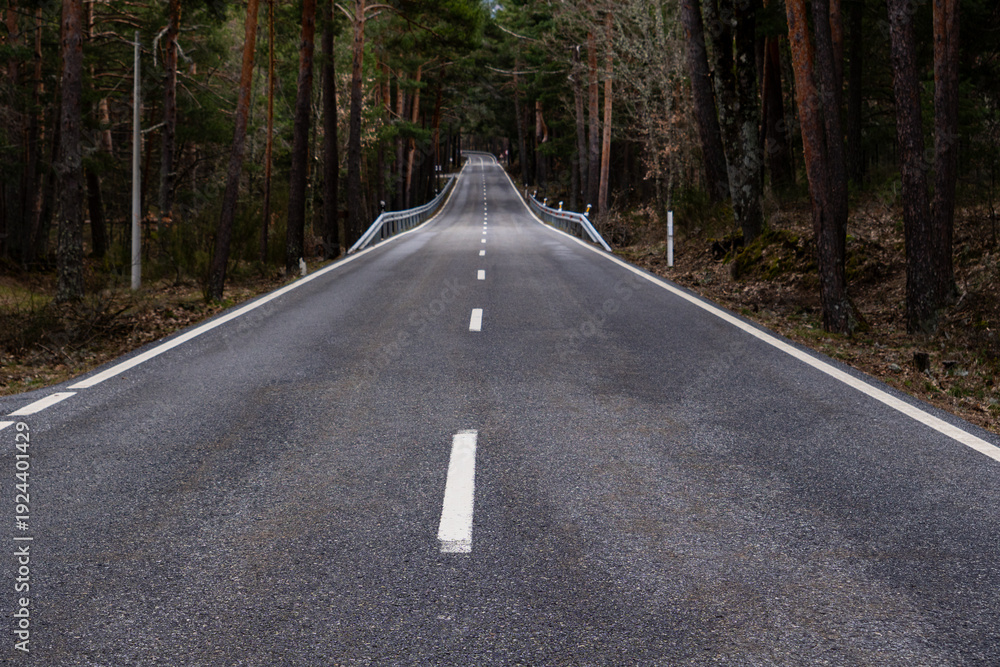 Obraz premium Long straight mountain road surrounded by trees, photographed from the center of the asphalt. No vehicles present, creating a strong sense of direction, perspective and depth.