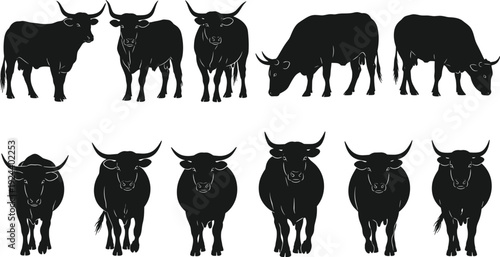 Bull silhouette vector set, black cattle ox farm animal illustrations isolated on white background for agriculture design