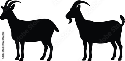 Goat silhouette pair isolated on white background, farm livestock animals in side view rural agriculture vector illustration