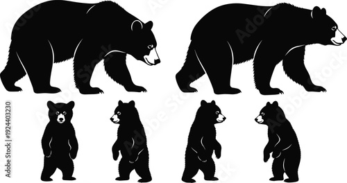 Collection of black silhouettes of large adult bears and cute bear cubs, standing and walking, isolated on white background, vector.