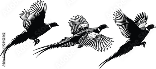 Set of black silhouettes featuring magical unicorns, shooting stars, rainbows, rain clouds, moon, sun, isolated on a white background, collection.