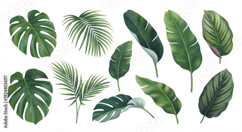 Vibrant watercolor collection of tropical leaves, showcasing monstera, palm, and banana foliage, for a lush jungle botanical design