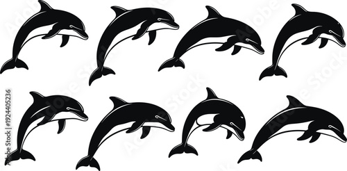 Dolphin silhouette set, jumping marine mammals isolated on white background ocean wildlife vector illustration collection