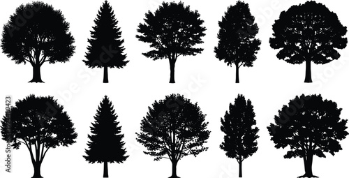 Tree silhouette collection, black botanical shapes, forest species outlines, nature vector design, landscape graphic elements, diverse tree forms