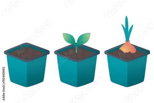 Three teal plant pots arranged in a row, each showing a different stage of plant growth.