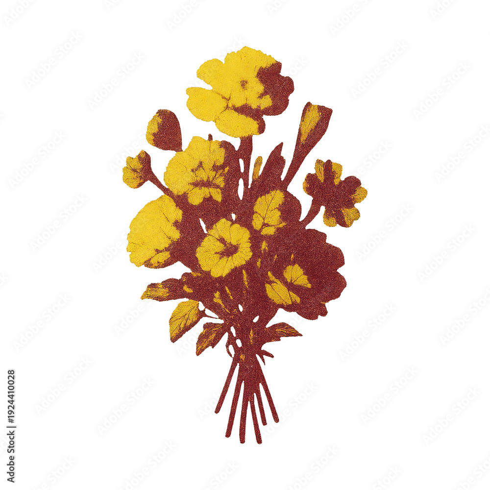 Obraz premium PNG Vibrant floral bouquet illustration
