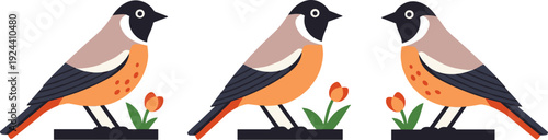 Three stylized birds with orange chests and black markings stand near tulips