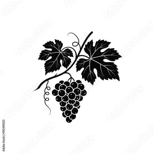 Minimalist Grape Vine Leaf Black Silhouette