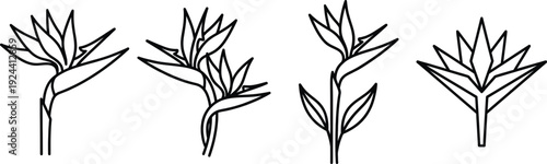 Bird of paradise flower linear icon set for web design