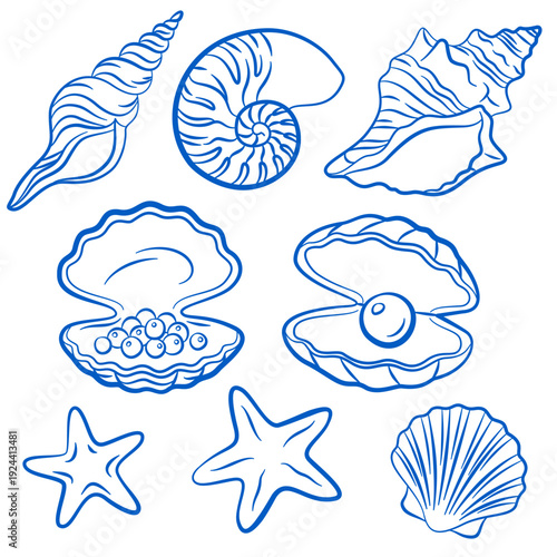 Set of Shells, Engraving. Blue Ink Line Art. Vector Marine Design. Ocean underwater nautical seashells