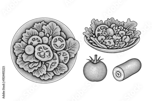 Stippled illustration of fresh salad, tomato, and cucumber slices on a white background