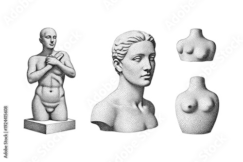 Collection of classical stippled sculptures of human torsos and busts on a white background