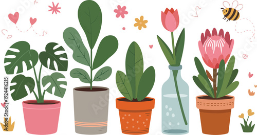 Collection of potted houseplants and garden elements with decorative accents