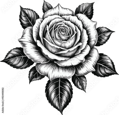 Black and white detailed rose flower with leaves, vintage engraving style botanical vector illustration