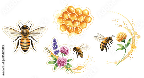 Watercolor illustration of bees, honeycomb, and flowers, perfect for spring and summer themes