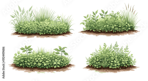 Collection of watercolor illustrations of lush green foliage and grass patches on soil