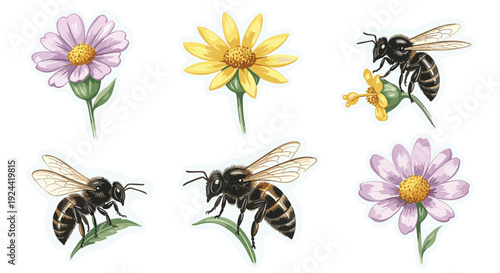 Collection of bees and flowers, illustrating pollination and nature's beauty