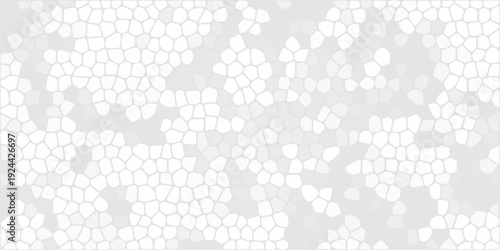 Abstract white mosaic pattern background with geometric cell shapes, light grey textured voronoi tessellation design