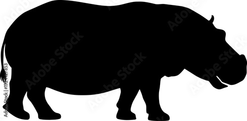 Hippopotamus Silhouette Vector Isolated on White Background