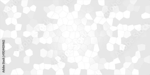Abstract white mosaic pattern background with geometric cell shapes, light grey textured voronoi tessellation design