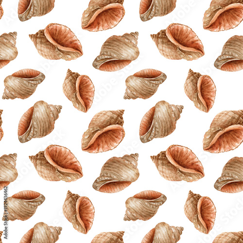 Seashells, watercolor seamless pattern on a white background. Marine style. Perfect for creating fabrics, textile, decoupage, wallpapers.