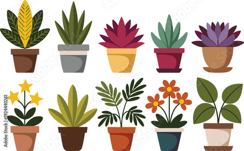 Flat Vector Illustration Set of Colorful Potted Houseplants Including Succulents Tropical Leaves and Flowering Plants for Home Office Interior Decoration